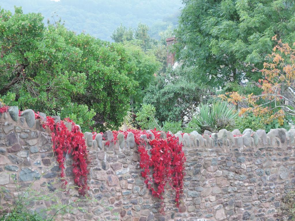 Bed and Breakfast The Gables Porlock Pokoj fotografie